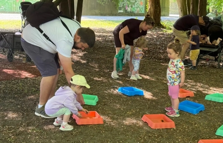 Castlecomer Discovery Park little explores in the woods by Sheila 5
