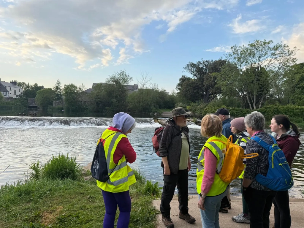 Bealtaine Living Earth Festival