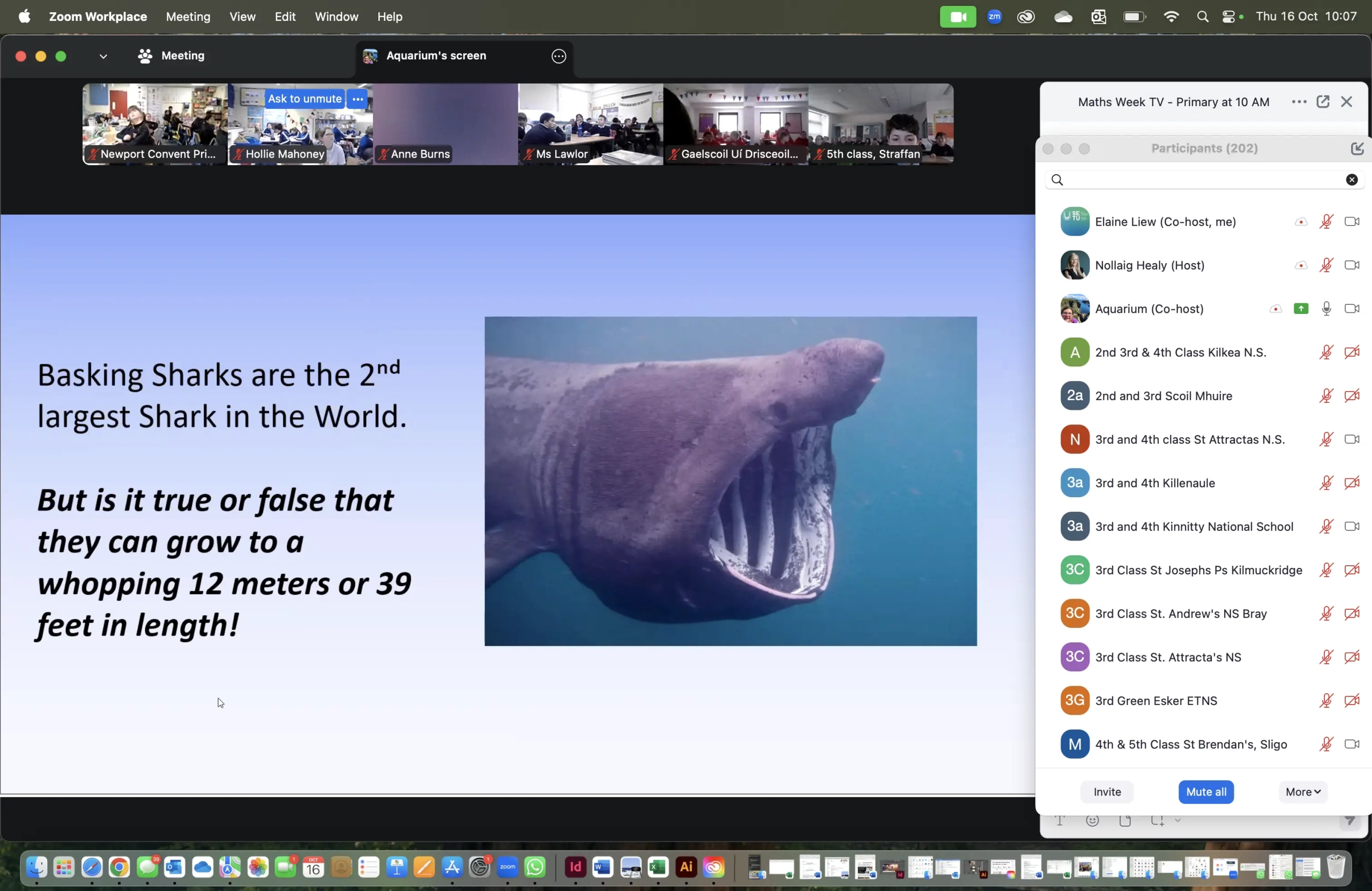 2025 Maths TV megafauna 2