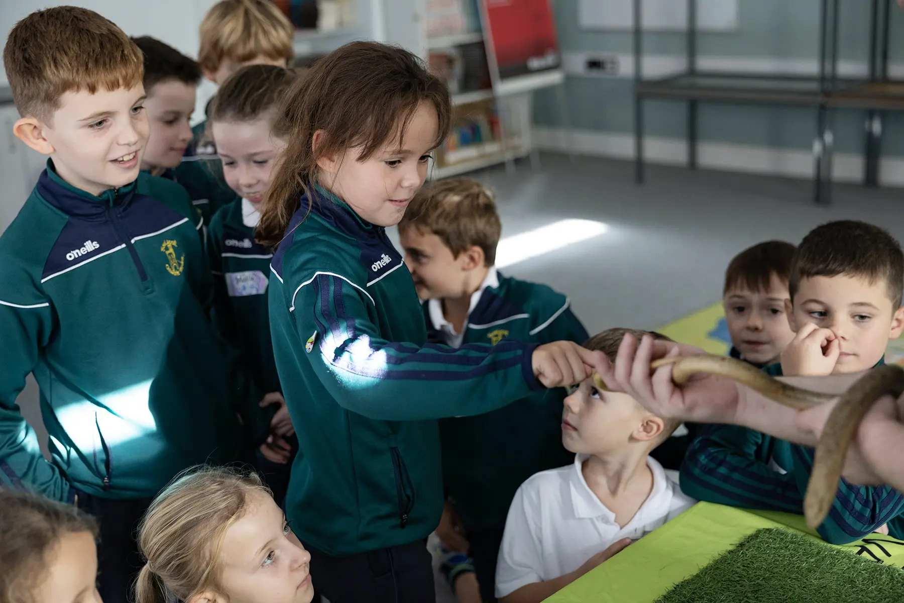 Reptile Zoo - Gael Scoil Clonmel - pictures by John Kelly 10