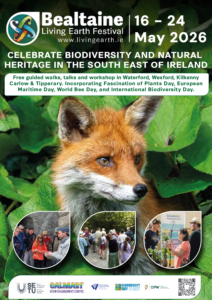 2026 Bealtaine A4 fox poster